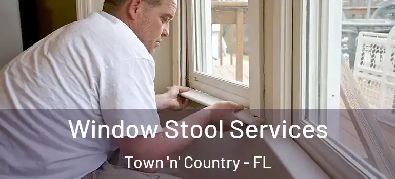Window Stool Services Town 'n' Country - FL