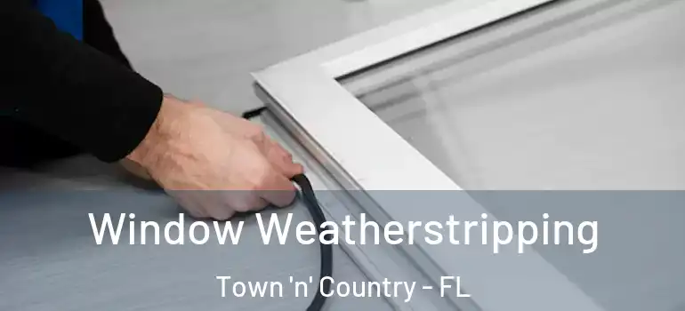Window Weatherstripping Town 'n' Country - FL